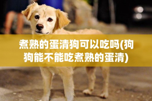煮熟的蛋清狗可以吃嗎(狗狗能不能吃煮熟的蛋清)