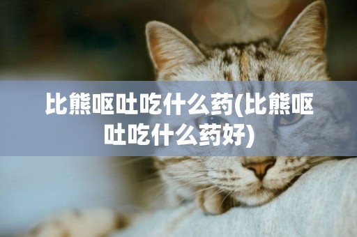 比熊嘔吐吃什么藥(比熊嘔吐吃什么藥好)