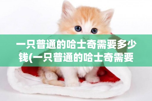 一只普通的哈士奇需要多少錢(一只普通的哈士奇需要多少錢養殖)