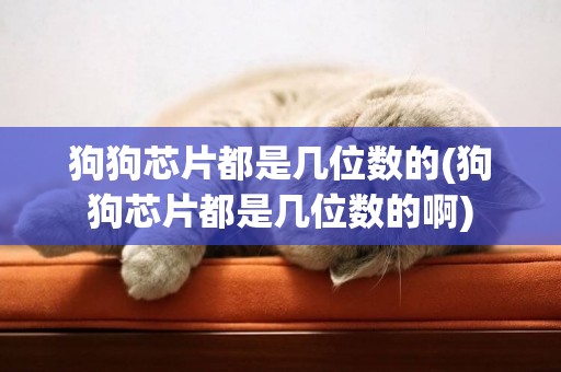 狗狗芯片都是幾位數的(狗狗芯片都是幾位數的啊)