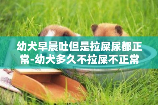 幼犬早晨吐但是拉屎尿都正常-幼犬多久不拉屎不正常