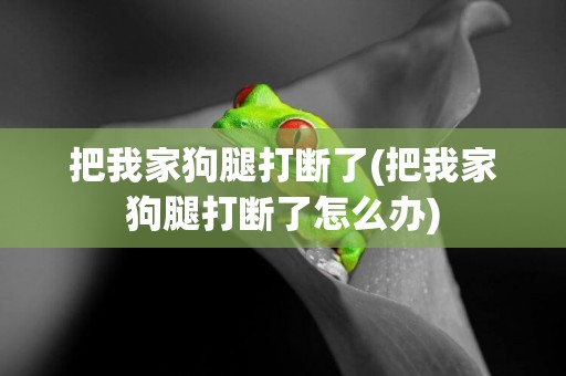 把我家狗腿打斷了(把我家狗腿打斷了怎么辦)