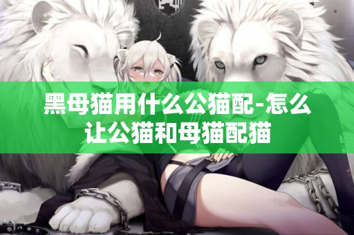 黑母貓用什么公貓配-怎么讓公貓和母貓配貓