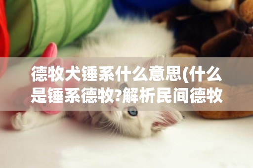 德牧犬錘系什么意思(什么是錘系德牧?解析民間德牧)