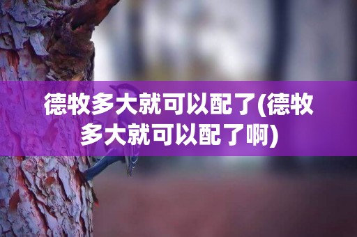 德牧多大就可以配了(德牧多大就可以配了啊)