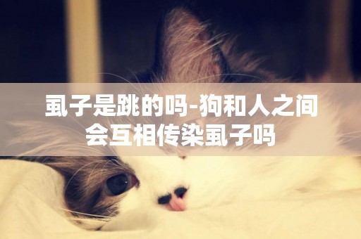 虱子是跳的嗎-狗和人之間會互相傳染虱子嗎