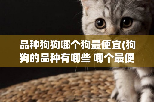 品種狗狗哪個狗最便宜(狗狗的品種有哪些 哪個最便宜)