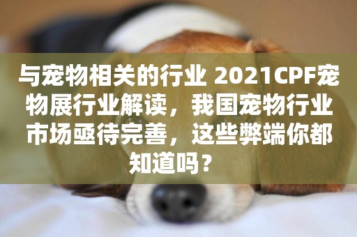 與寵物相關的行業 2021CPF寵物展行業解讀，我國寵物行業市場亟待完善，這些弊端你都知道嗎？ 