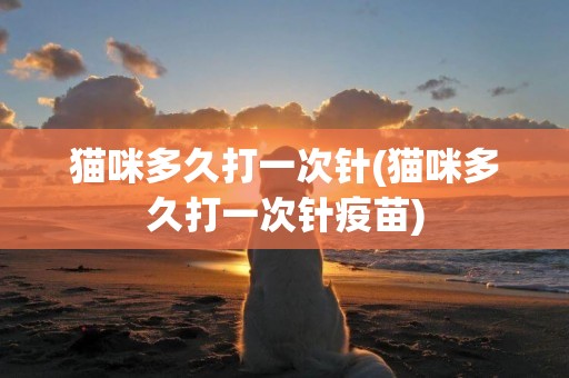 貓咪多久打一次針(貓咪多久打一次針疫苗)