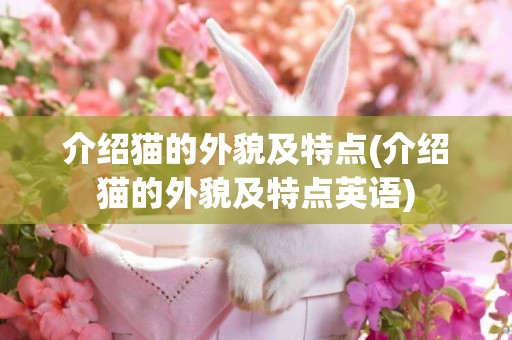 介紹貓的外貌及特點(介紹貓的外貌及特點英語)