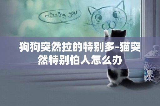 狗狗突然拉的特別多-貓突然特別怕人怎么辦