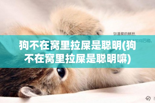 狗不在窩里拉屎是聰明(狗不在窩里拉屎是聰明嘛)