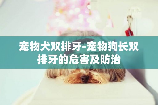 寵物犬雙排牙-寵物狗長雙排牙的危害及防治