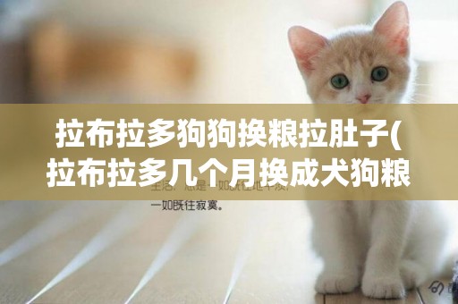 拉布拉多狗狗換糧拉肚子(拉布拉多幾個月換成犬狗糧)