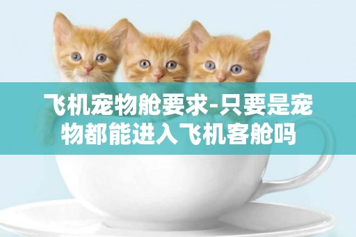 飛機寵物艙要求-只要是寵物都能進入飛機客艙嗎