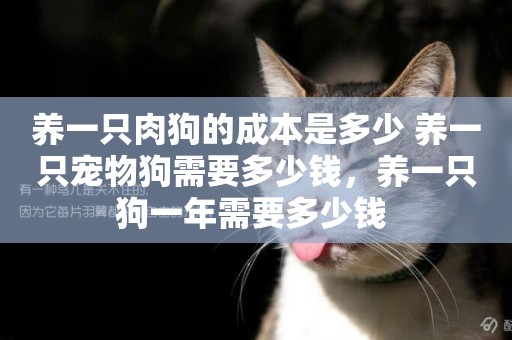 養一只肉狗的成本是多少 養一只寵物狗需要多少錢，養一只狗一年需要多少錢 