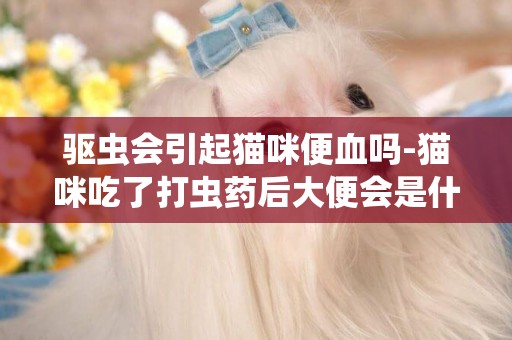 驅蟲會引起貓咪便血嗎-貓咪吃了打蟲藥后大便會是什么樣