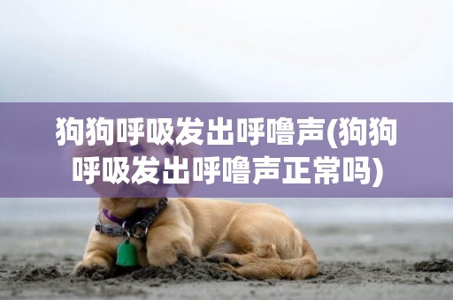 狗狗呼吸發出呼嚕聲(狗狗呼吸發出呼嚕聲正常嗎)
