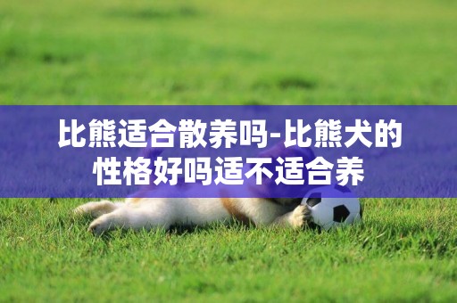 比熊適合散養嗎-比熊犬的性格好嗎適不適合養