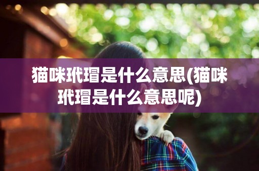 貓咪玳瑁是什么意思(貓咪玳瑁是什么意思呢)