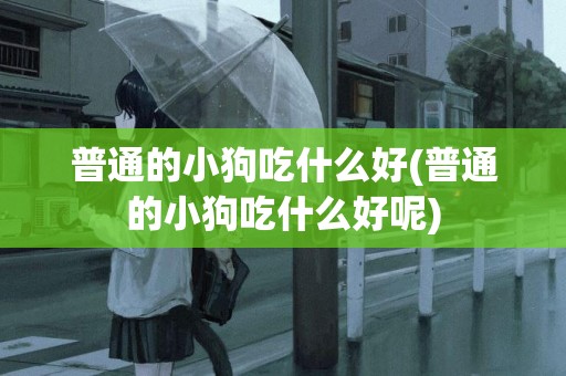 普通的小狗吃什么好(普通的小狗吃什么好呢)