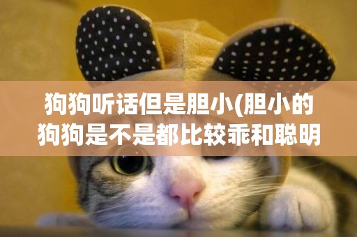 狗狗聽話但是膽小(膽小的狗狗是不是都比較乖和聰明)