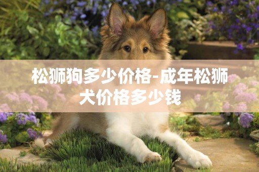 松獅狗多少價格-成年松獅犬價格多少錢