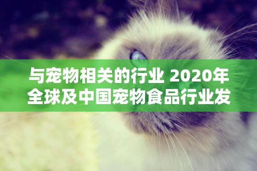 與寵物相關的行業 2020年全球及中國寵物食品行業發展現狀分析 疫情下逆勢增長的寵物食品行業分析 