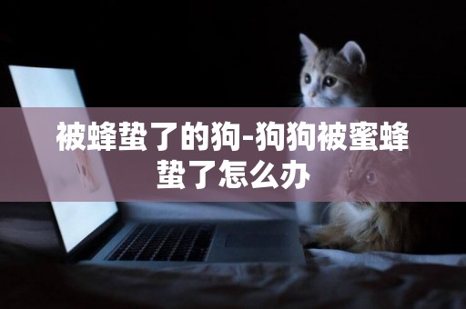 被蜂蟄了的狗-狗狗被蜜蜂蟄了怎么辦