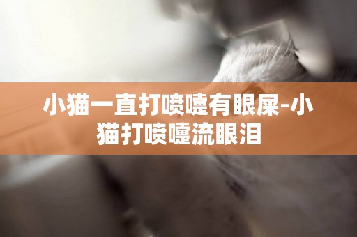小貓一直打噴嚏有眼屎-小貓打噴嚏流眼淚