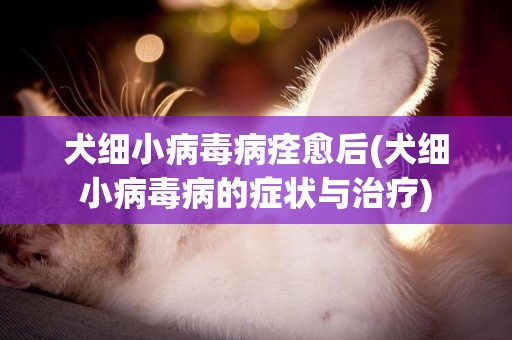 犬細小病毒病痊愈后(犬細小病毒病的癥狀與治療)
