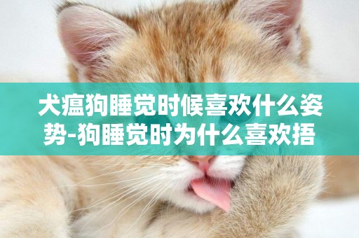 犬瘟狗睡覺時候喜歡什么姿勢-狗睡覺時為什么喜歡捂鼻子