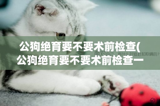 公狗絕育要不要術前檢查(公狗絕育要不要術前檢查一下)