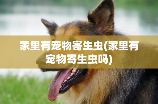 家里有寵物寄生蟲(家里有寵物寄生蟲嗎)