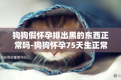 狗狗假懷孕排出黑的東西正常嗎-狗狗懷孕75天生正常嗎