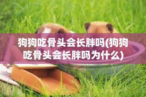 狗狗吃骨頭會長胖嗎(狗狗吃骨頭會長胖嗎為什么)