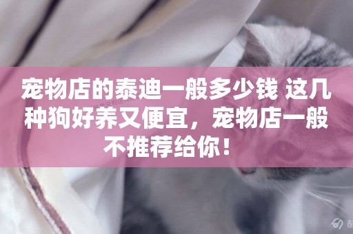 寵物店的泰迪一般多少錢 這幾種狗好養又便宜，寵物店一般不推薦給你！ 