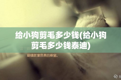 給小狗剪毛多少錢(給小狗剪毛多少錢泰迪)