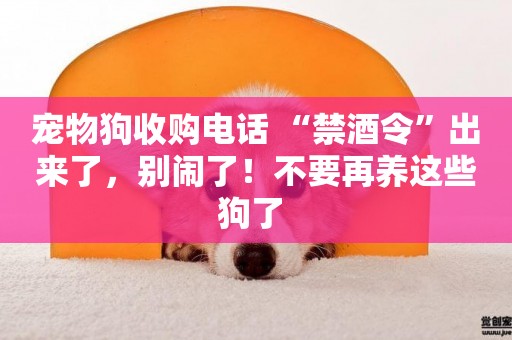 寵物狗收購電話 “禁酒令”出來了，別鬧了！不要再養這些狗了 