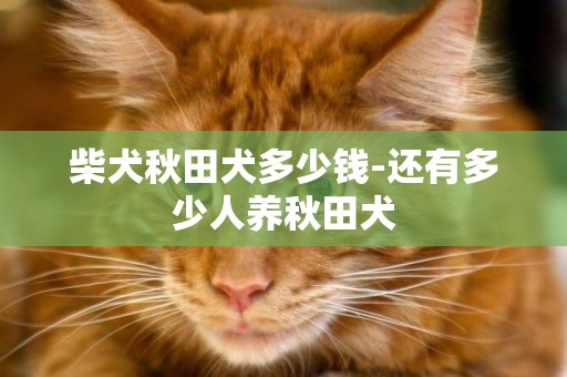 柴犬秋田犬多少錢-還有多少人養秋田犬