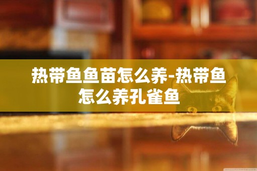 熱帶魚魚苗怎么養-熱帶魚怎么養孔雀魚