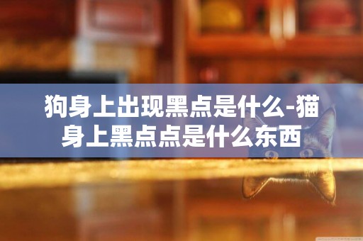 狗身上出現黑點是什么-貓身上黑點點是什么東西