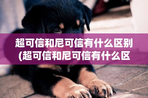 超可信和尼可信有什么區別(超可信和尼可信有什么區別圖片)