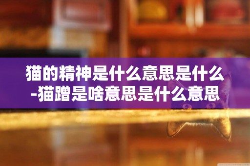 貓的精神是什么意思是什么-貓蹭是啥意思是什么意思是什么意思