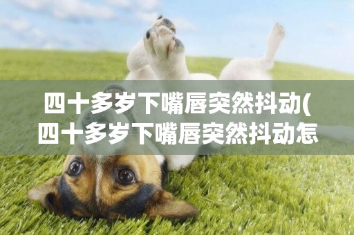 四十多歲下嘴唇突然抖動(四十多歲下嘴唇突然抖動怎么辦)