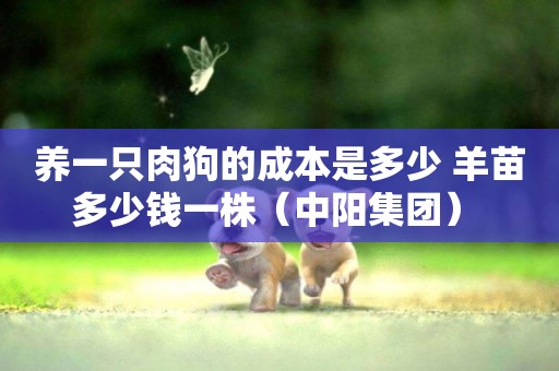 養一只肉狗的成本是多少 羊苗多少錢一株（中陽集團） 