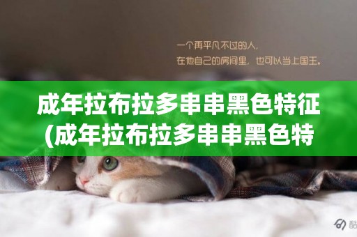 成年拉布拉多串串黑色特征(成年拉布拉多串串黑色特征是什么)