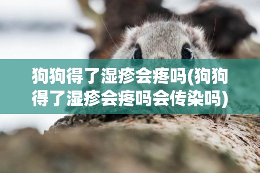 狗狗得了濕疹會疼嗎(狗狗得了濕疹會疼嗎會傳染嗎)