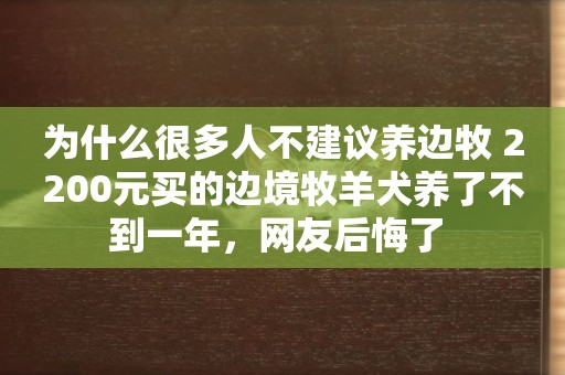 為什么很多人不建議養邊牧 2200元買的邊境牧羊犬養了不到一年，網友后悔了 