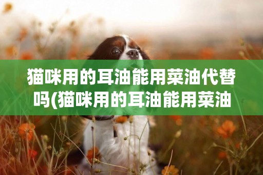 貓咪用的耳油能用菜油代替嗎(貓咪用的耳油能用菜油代替嗎視頻)